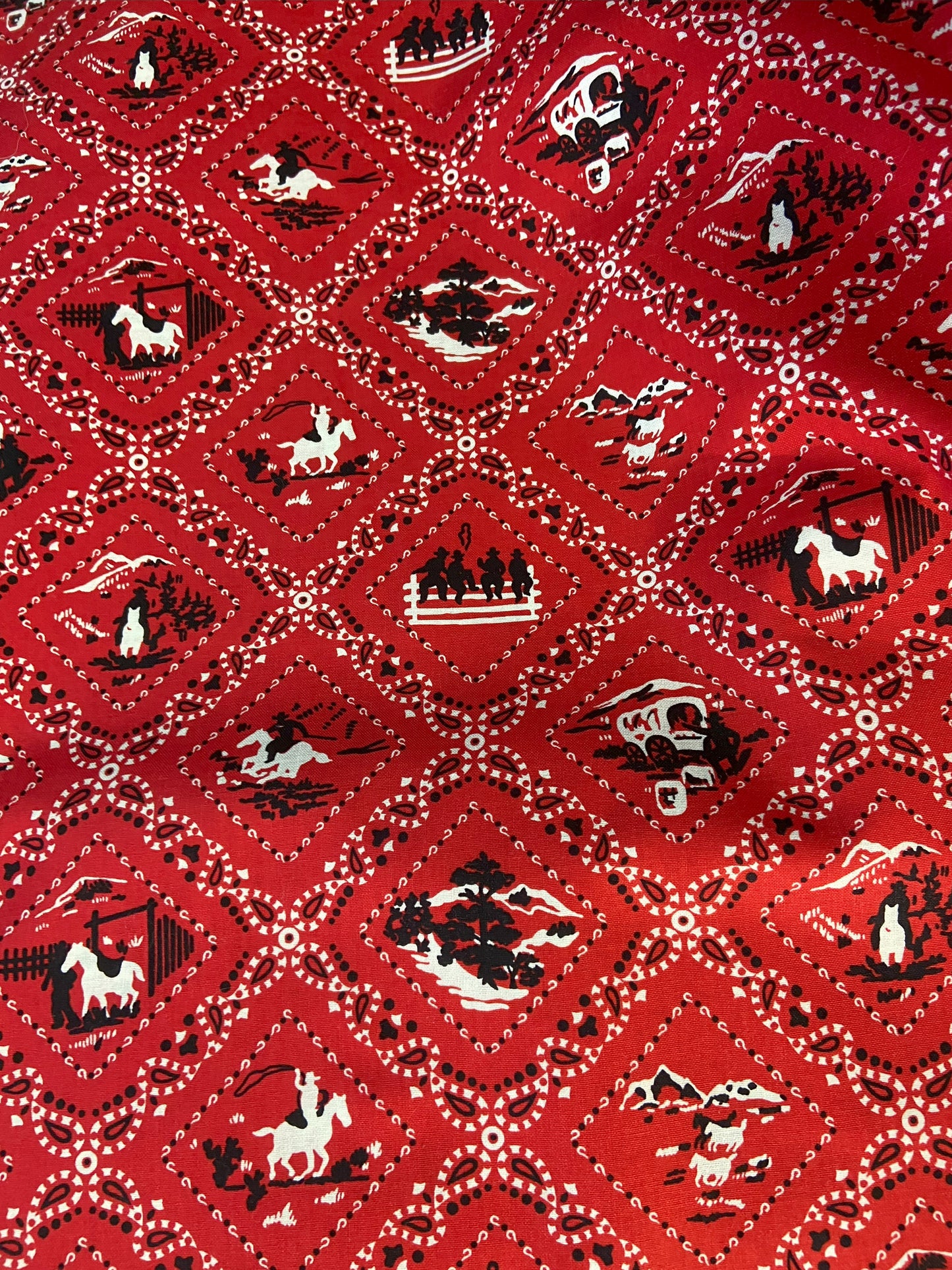 Tissu Ride'em Cowboy de Robert Kaufman