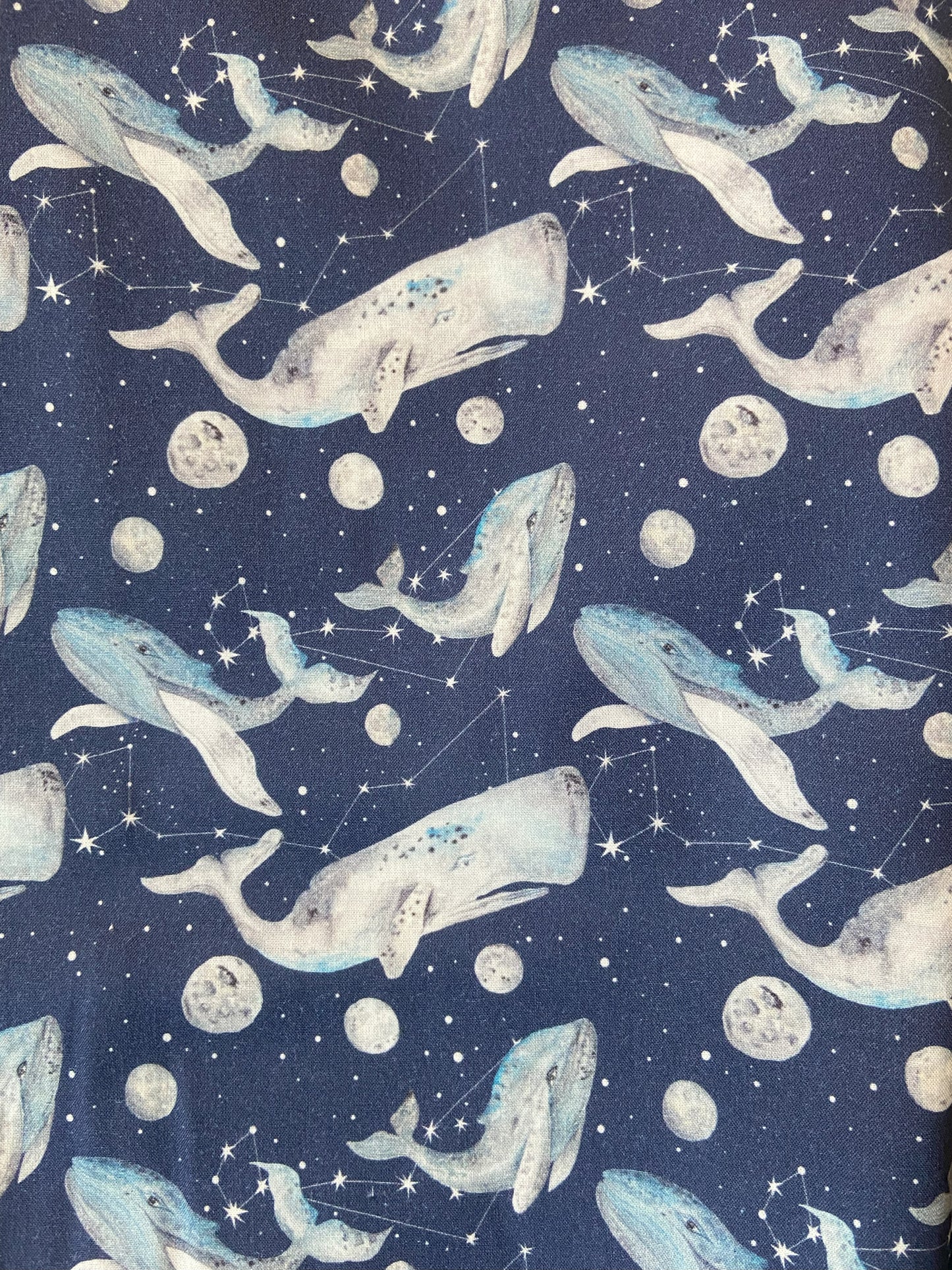 Tissu baleine bleu marine céleste