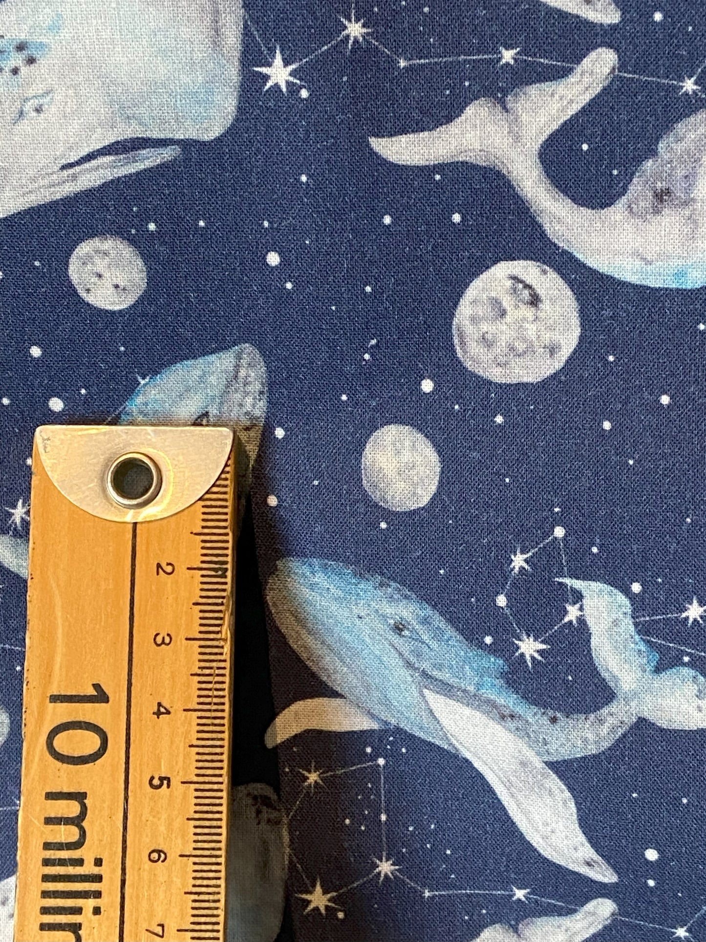 Tissu baleine bleu marine céleste