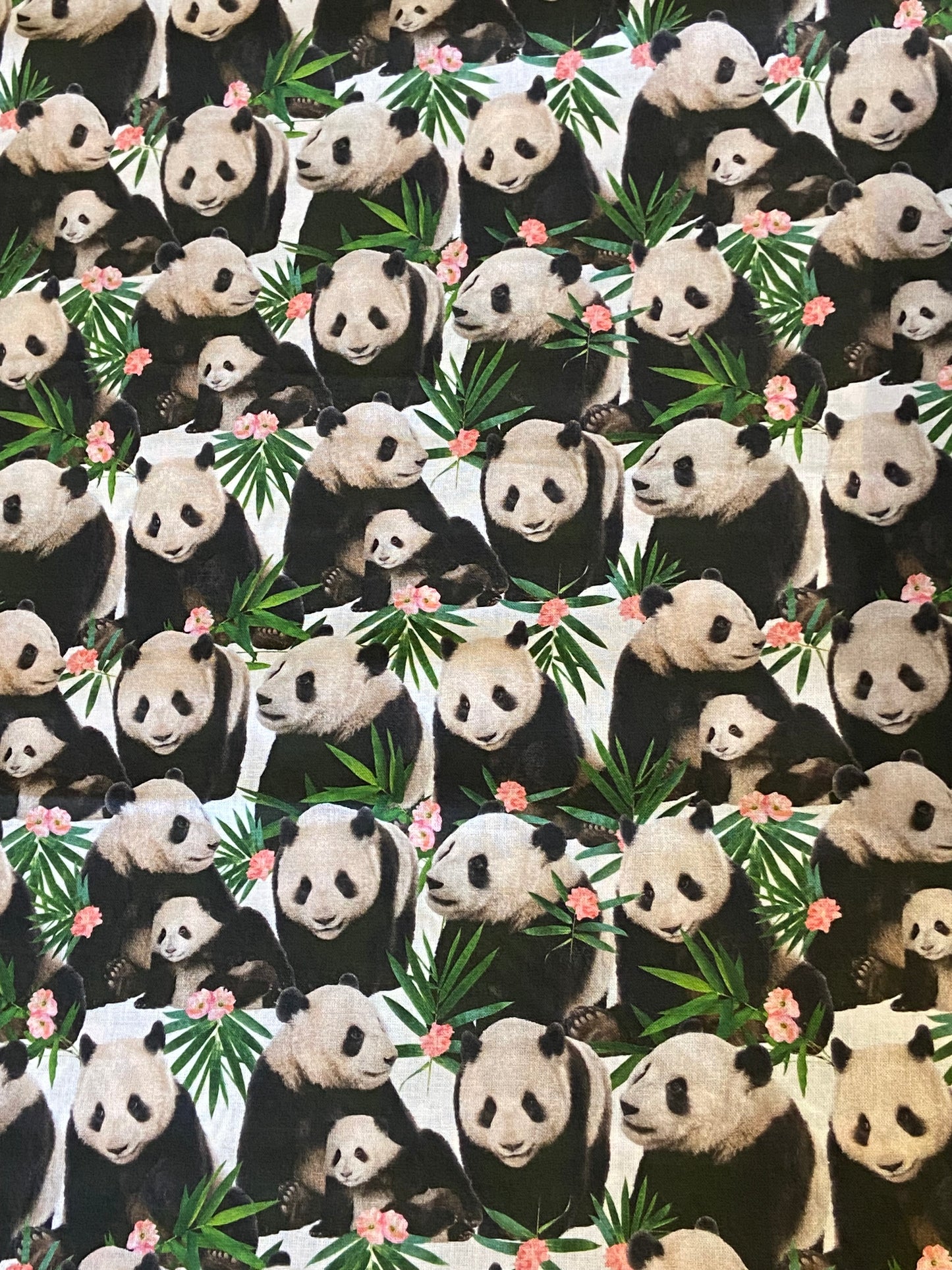 Tissu imprimé bébé panda
